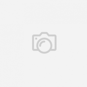 VIDEOJUEGO THE ADVENTURES OF ELLIOT: THE MILLENNIUM TALES SWITCH 2